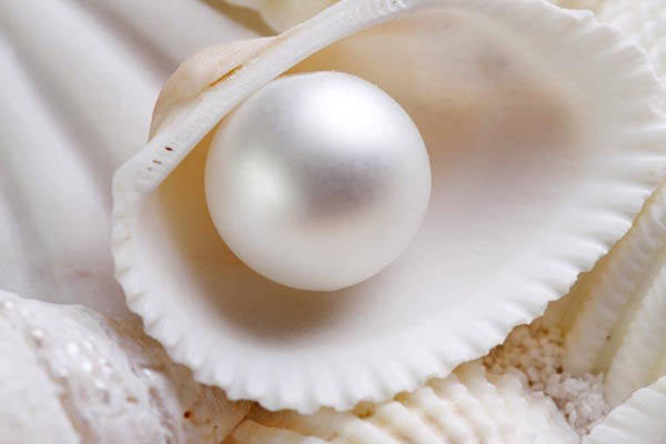 光泽度仪评定珍珠的光泽等级