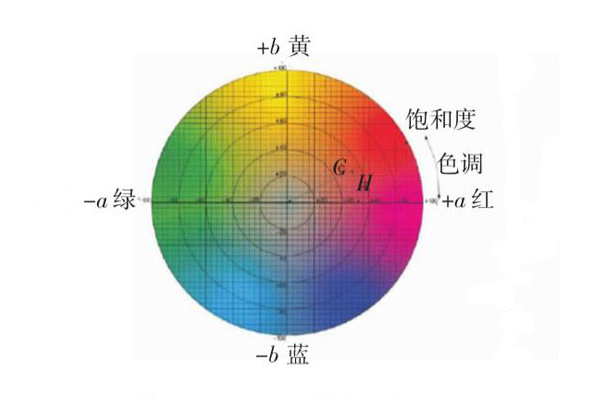 CIEL*a*b*和CIEL*C*H*色差公式的表示形式
